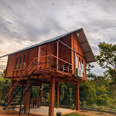 Вилла Lion Wood Treehouse Talkote Экстерьер фото