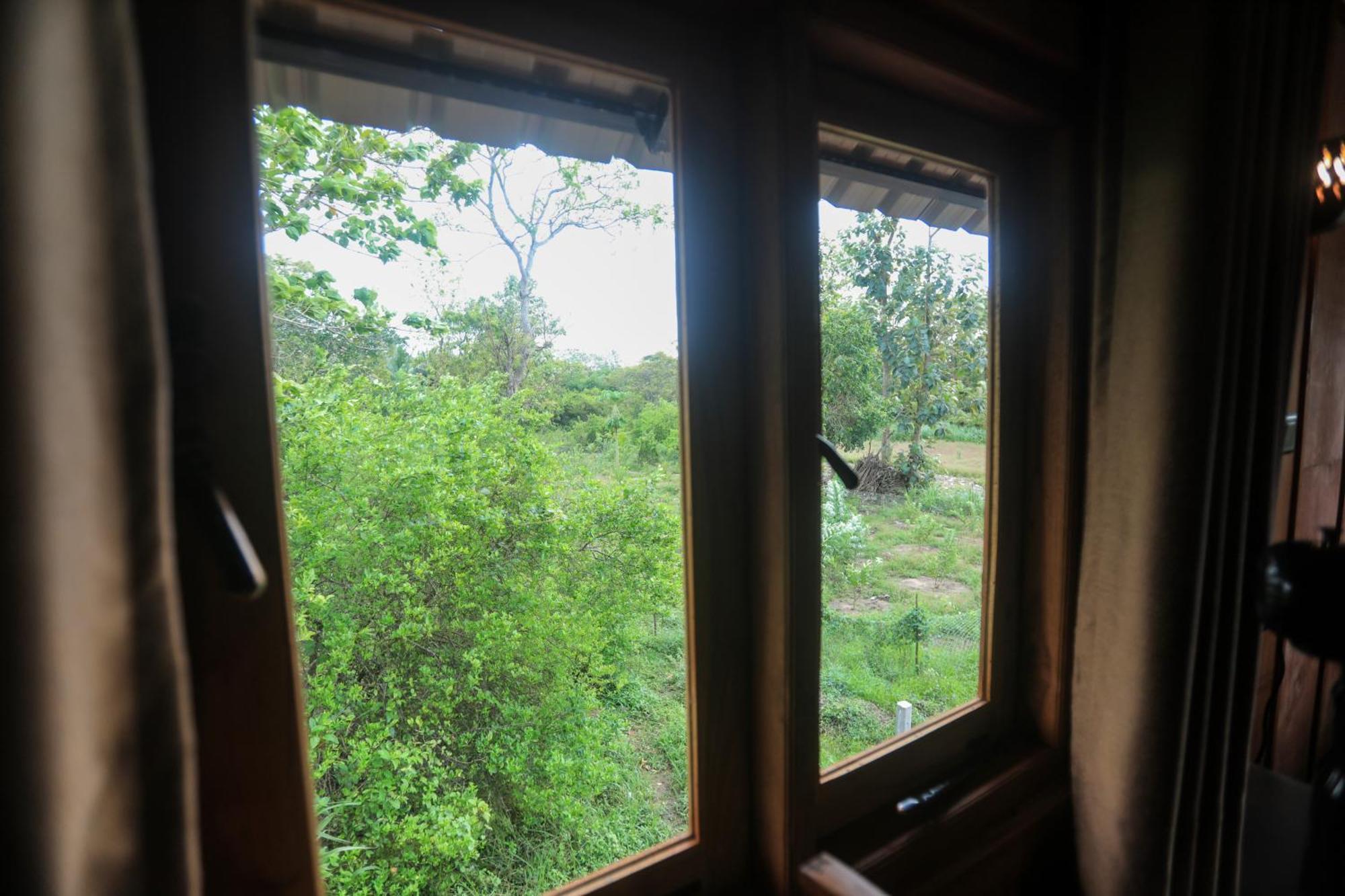 Вилла Lion Wood Treehouse Talkote Экстерьер фото
