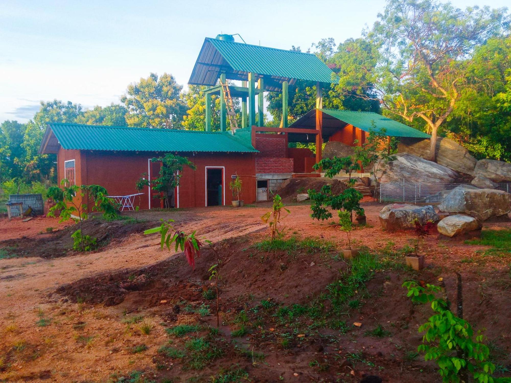 Вилла Lion Wood Treehouse Talkote Экстерьер фото