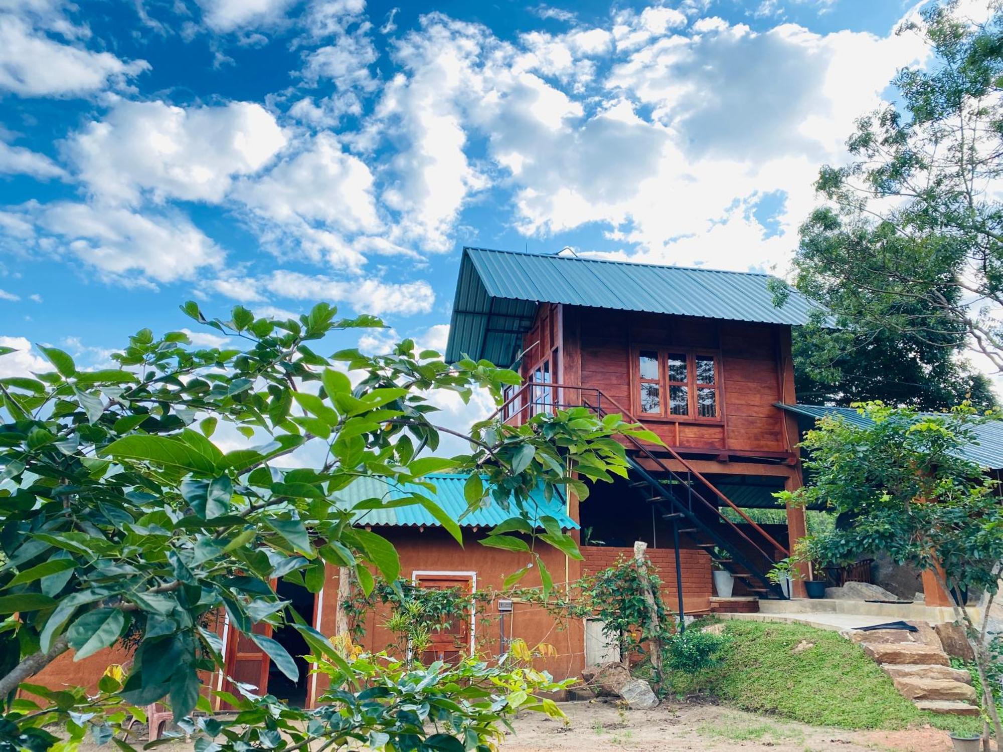 Вилла Lion Wood Treehouse Talkote Экстерьер фото